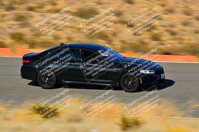 media/Nov-16-2024-Extreme Speed (Sat) [[6587d07cc4]]/Gold Group/Session 3 (The Bowl)/